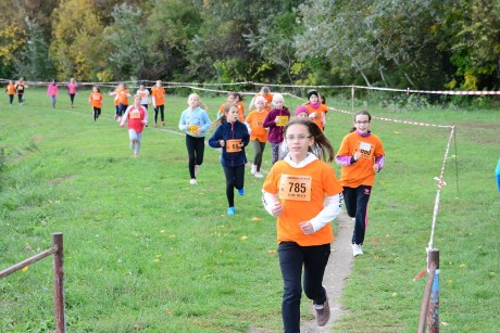 17 iskola több mint 400 diákja indult a városi mezei futó diákolimpián